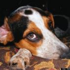 Debi Winter-Blood:With a face like that, he can get away with anything.