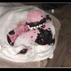 u4riah:Gravity works both ways