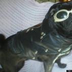 DragonKwean:In his dreams, Jack cruises the byways and highways on his Harley.