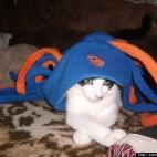 LarcenEwhipsnade:A die-hard Gator fan