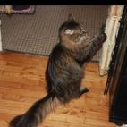 RUNAKUNA:Affutage des outils