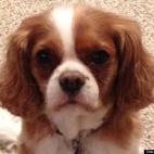 Paisano:I sleep 20 hours a day while my family works!