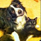 Guinevere:Resting in the middle of a wrestling match.