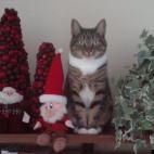 wackySD:She had to join the creatures who had invaded her favorite high place.