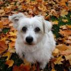 susan1230:Morning at the park