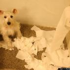 I Remember America:Maggie thought she was having fun!