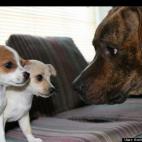 Andria R Karshner:"This is how it's going to be Big Guy! We run this joint!"