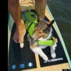 Alan Montgomery:Annapolis Harbor