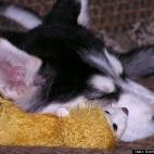 Andria R Karshner:If you just keep an eye on me while I nap here, and I will have your back for the rest of the day.