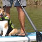 Alan Montgomery:on the board again !!!!