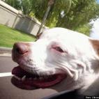 Alexandra Marciales:Go for car ride!