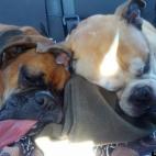 wheelerc6:Living the rough life.