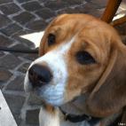 LaNuitJeMens:JFK cet été.