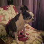 TracyBernson:Bernson Legal, PLLC's favorite legal client!