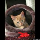 Katie Louise Sandberg:"I don't always pose for photos, but when I do I make them look good." -Waylon