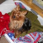 Suzanne Mursett:But I "AM" helping fold the laundry mom!