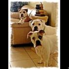 kate flack:"What do you mean you are leaving? Please stay!!!"