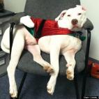 Linda Crump Bassett:Tired Santa Huey