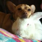 dulenoted:They quickly became best buddies.