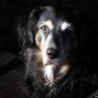 BlueKansas:Perfect girl, RIP 10-30-12.