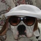 Robert Work:These shades will get me places.