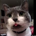 Cassandra Schaffa:This is my buddy Zoolander. Sadly he had to be put down this year after battling cancer. I miss him dearly, but having been really, really ridiculously good-looking means I have plenty of photos to keep his memory going strong.