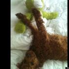 WisdomFirst:Woo-hoo! I love my life!!