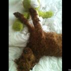 WisdomFirst:Woo-hoo! I'm LOVIN' my life!!