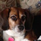 Trudy Bristol Marchant: