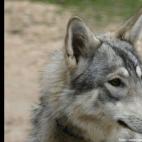 andnojusticeforanyone: