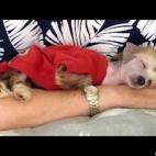 jeannemc:Harry Secure