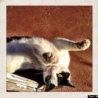 Monica Pasqual: She just loves the camera