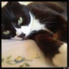 Monica Pasqual:She absolutely ADORES herself!