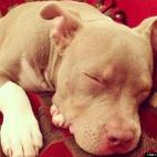 Marta M Diaz:The sweetest bundle of love....