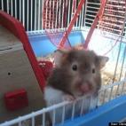 Diana Kretzschmar:Hello