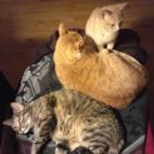 lnathal:et encore il en manque un !