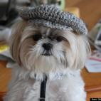 Wade Hathaway:vote for me