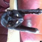 maestro185:Relaxed or what?