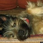 Sweetie4474:Larri Loves Leather