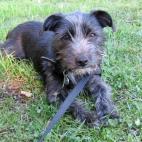 Sasmira:Petite pause,après une marche...