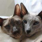 werm1000:Bug and Little Man