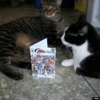 Rusty Gilligan:Mac and Trouble love reading comic books !