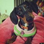 courtneybkinsey:Gurrrrl, please!