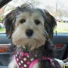 mcmjeanne:Getting ready to go!