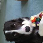 egonshiele:He will do anything for our daughter!