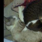 leftfieldleftie:Is there room for one more?