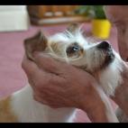 cudazzle:Lu getting some morning loving