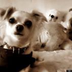 Nicole Wilkum:Hanging with her favorite toys.