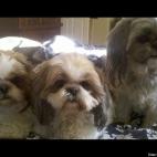 derikthered63:"Wake Up, Let's Eat!"