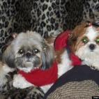 derikthered63:"We are Loved!